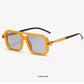 Thick Frame Square Sunglasses